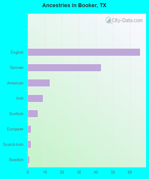 Ancestries in Booker, TX