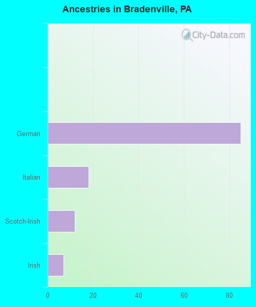 Ancestries in Bradenville, PA