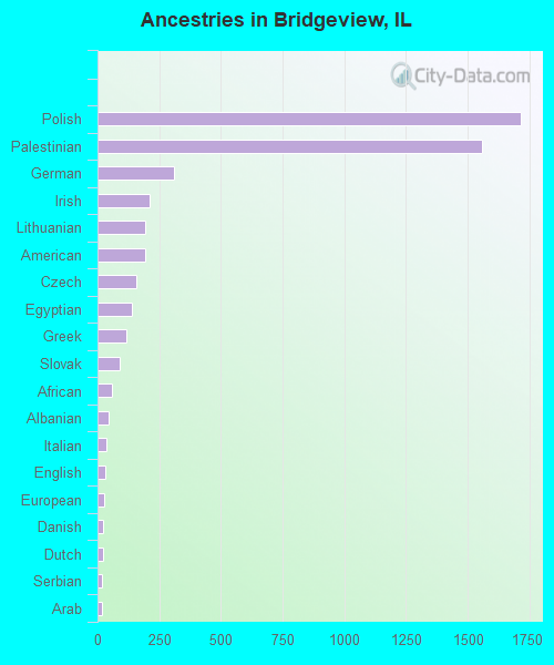 Ancestries in Bridgeview, IL