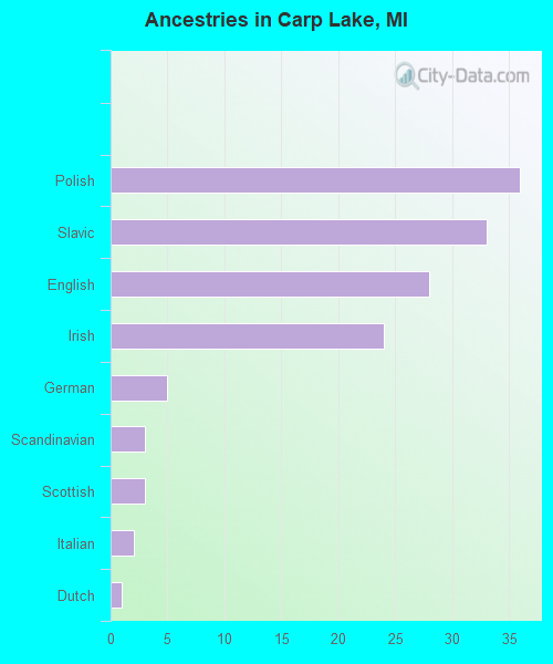 Ancestries in Carp Lake, MI
