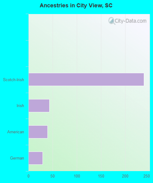Ancestries in City View, SC