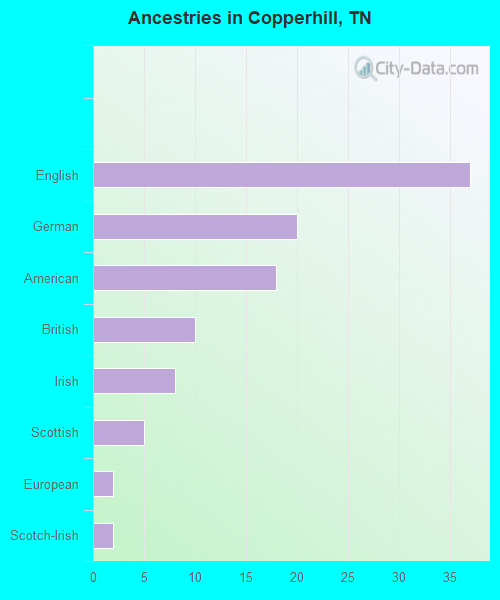 Ancestries in Copperhill, TN