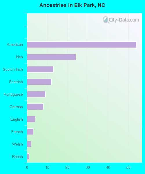 Ancestries in Elk Park, NC