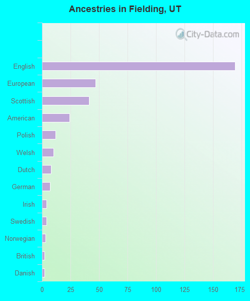 Ancestries in Fielding, UT
