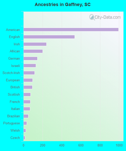 Ancestries in Gaffney, SC