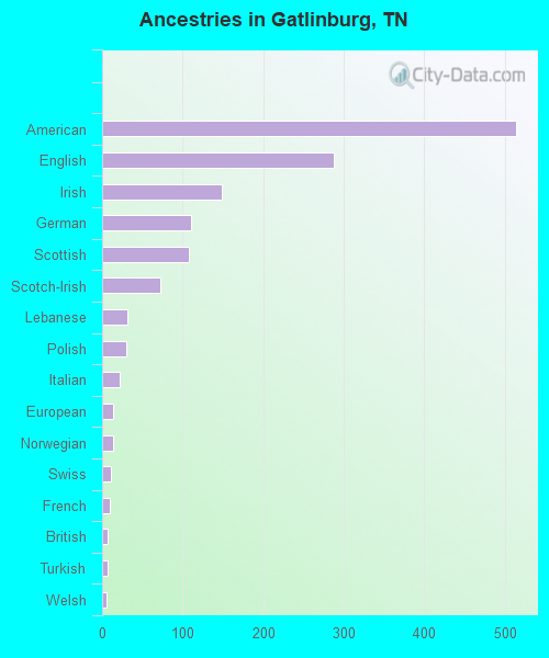 Gatlinburg, TN (Tennessee) Houses, Apartments, Rent, Mortgage Status