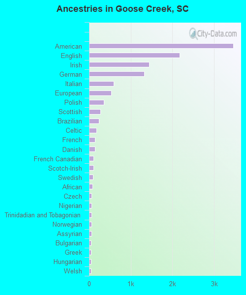 Ancestries in Goose Creek, SC