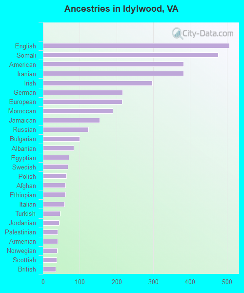 Ancestries in Idylwood, VA