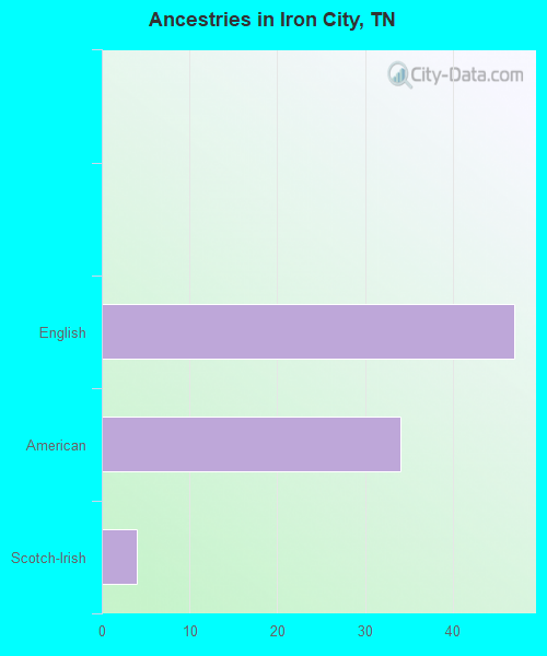 Ancestries in Iron City, TN