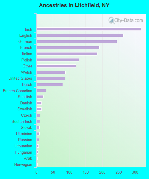 Ancestries in Litchfield, NY