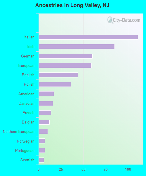 Ancestries in Long Valley, NJ