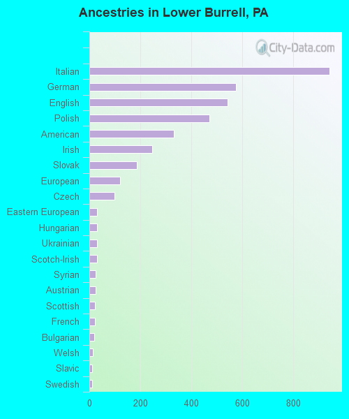 Ancestries in Lower Burrell, PA