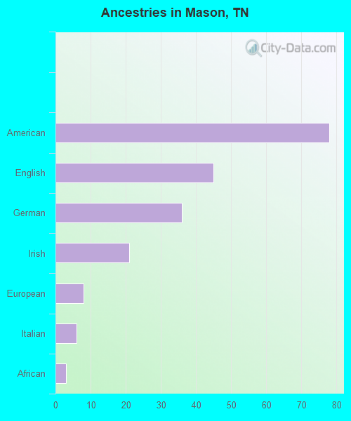 Ancestries in Mason, TN