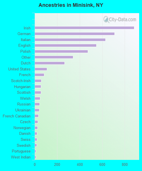 Ancestries in Minisink, NY