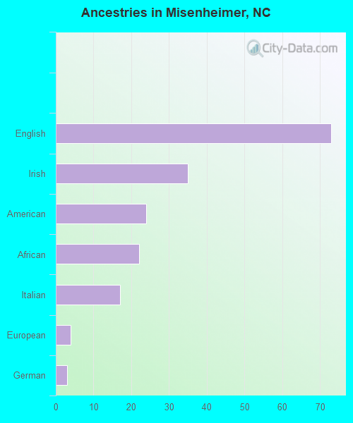 Ancestries in Misenheimer, NC