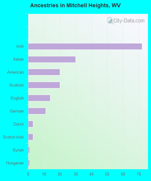 Ancestries in Mitchell Heights, WV