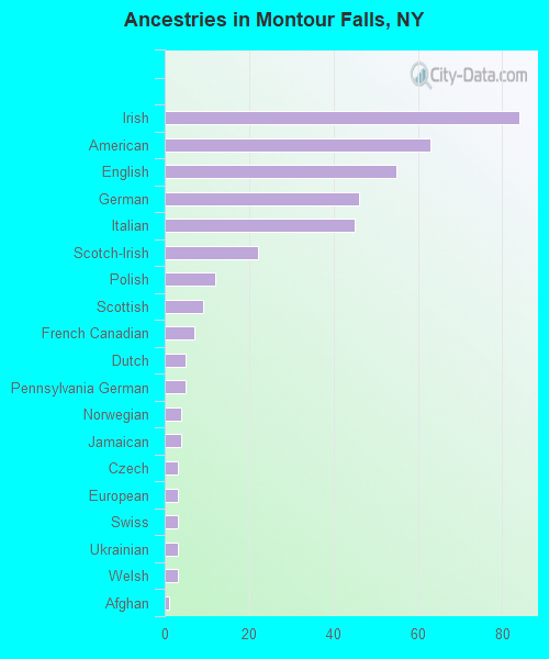 Ancestries in Montour Falls, NY