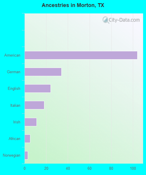 Ancestries in Morton, TX