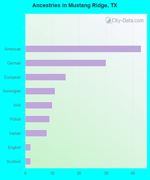 Ancestries in Mustang Ridge, TX