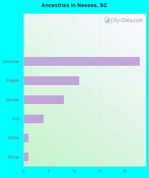 Ancestries in Neeses, SC