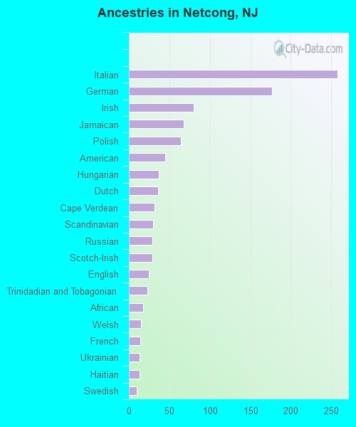 Ancestries in Netcong, NJ