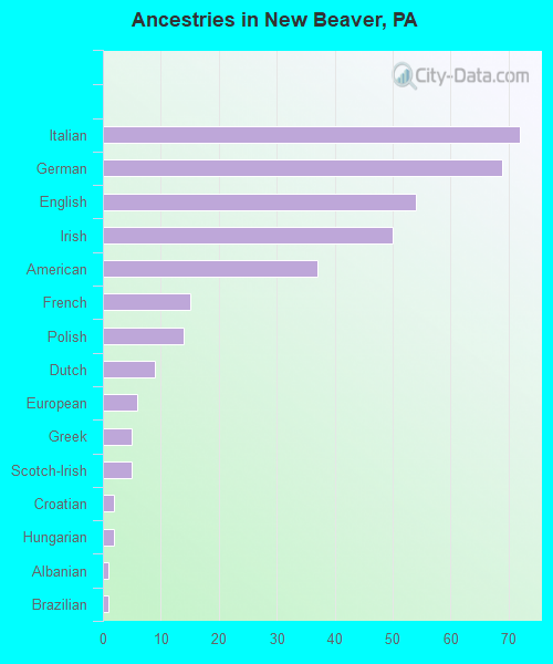 Ancestries in New Beaver, PA