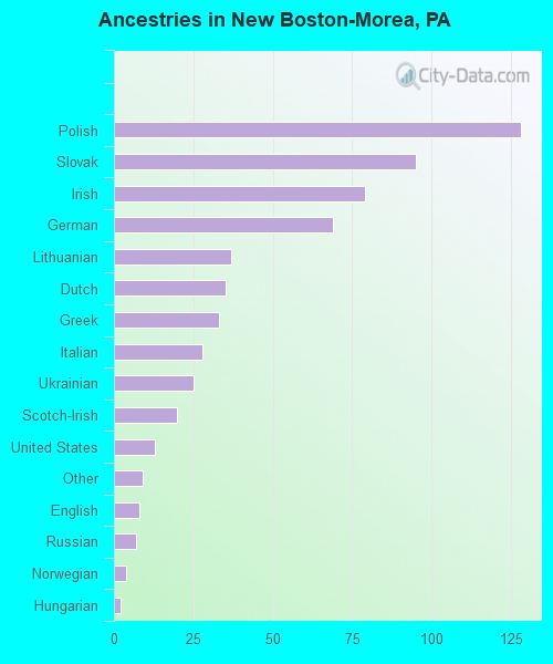 Ancestries in New Boston-Morea, PA
