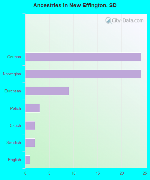 Ancestries in New Effington, SD