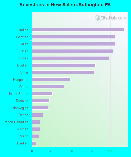 Ancestries in New Salem-Buffington, PA