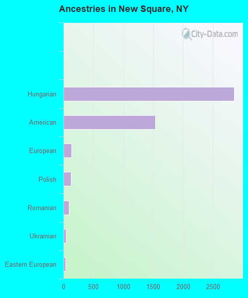Ancestries in New Square, NY