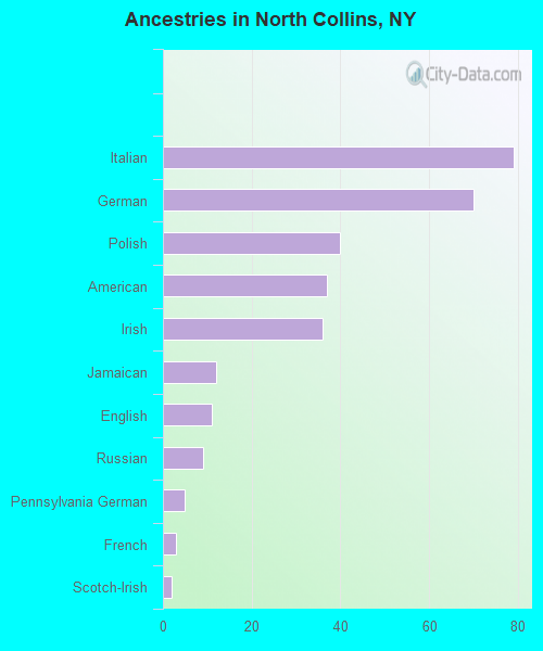 North Collins, NY (New York) Houses, Apartments, Rent, Mortgage Status