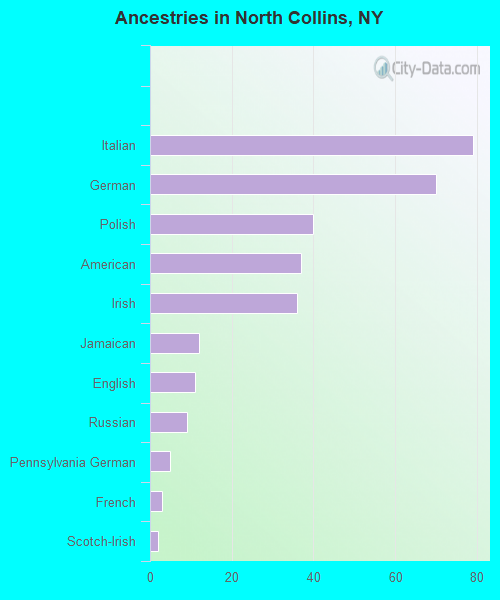 Ancestries in North Collins, NY