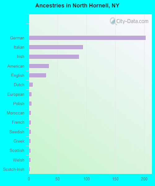 Ancestries in North Hornell, NY