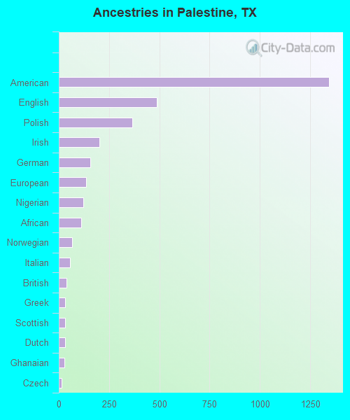 Ancestries in Palestine, TX
