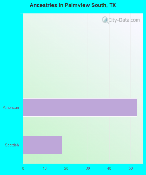 Ancestries in Palmview South, TX