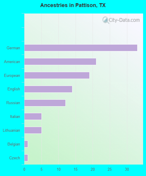 Ancestries in Pattison, TX