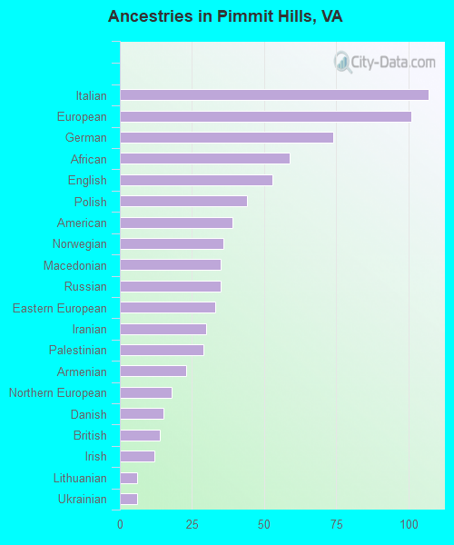 Ancestries in Pimmit Hills, VA
