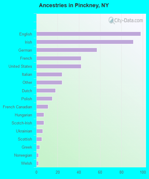 Ancestries in Pinckney, NY