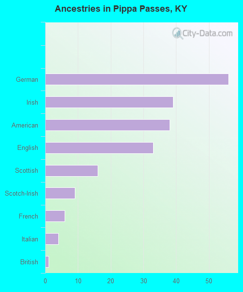 Ancestries in Pippa Passes, KY