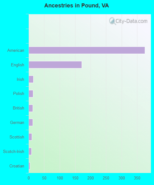 Ancestries in Pound, VA