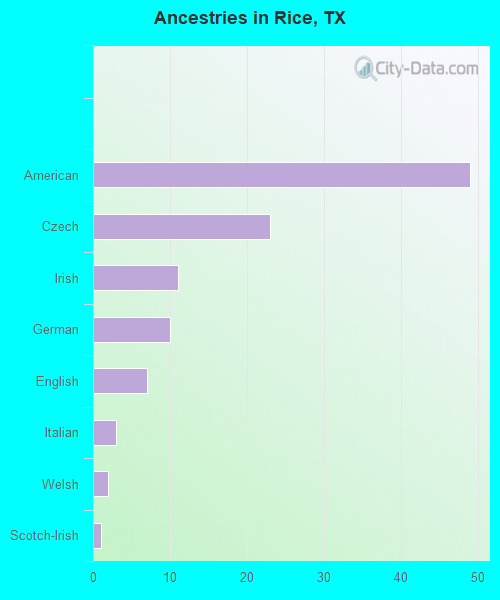 Ancestries in Rice, TX