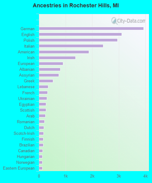 Ancestries in Rochester Hills, MI