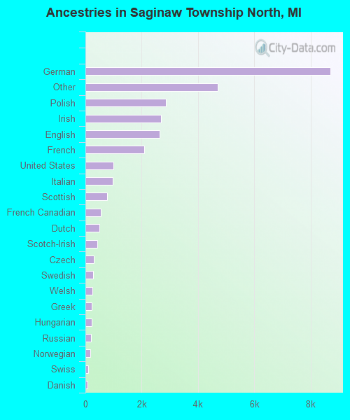 Ancestries in Saginaw Township North, MI