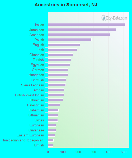 Ancestries in Somerset, NJ