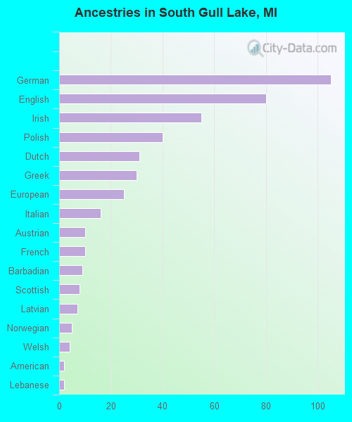 Ancestries in South Gull Lake, MI