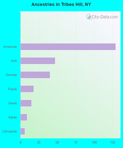 Ancestries in Tribes Hill, NY