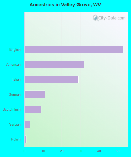 Ancestries in Valley Grove, WV