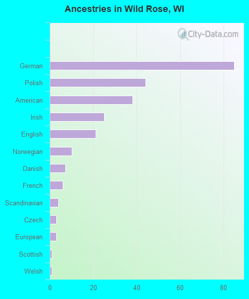 Ancestries in Wild Rose, WI