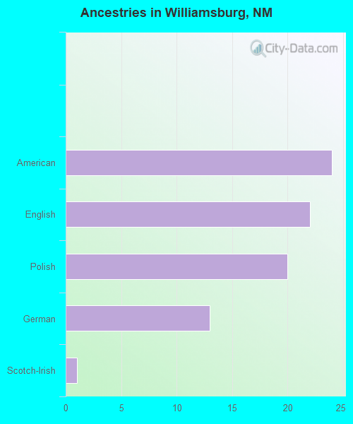 Ancestries in Williamsburg, NM