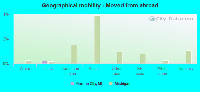 Geographical mobility -  Moved from abroad